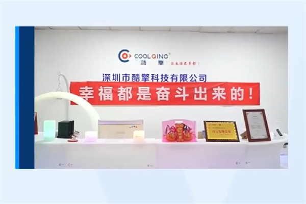 Company Introduction