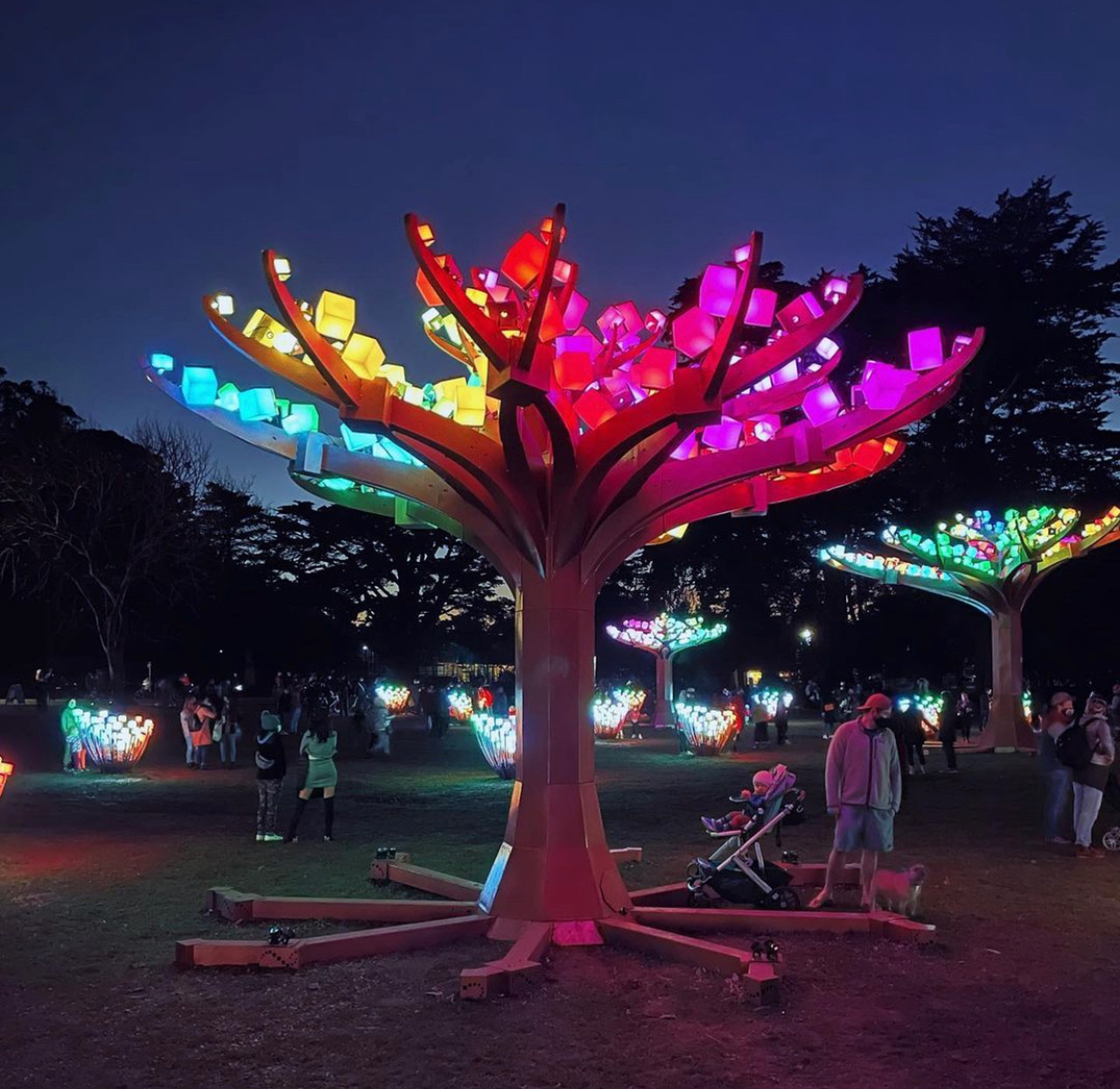 Light Forest, Redefining Park Nightscapes
