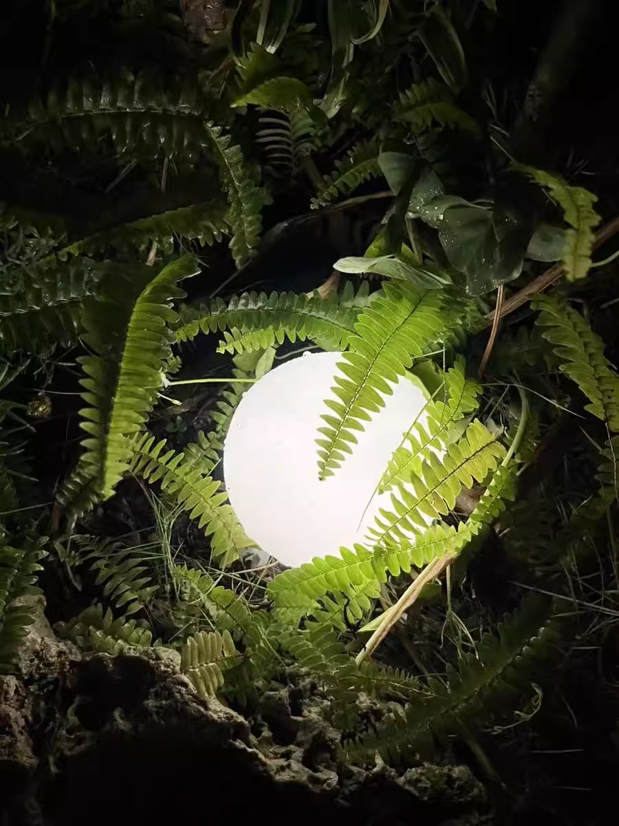 LED Ball Lights – The Perfect Accent for Garden & Lawn Lighting