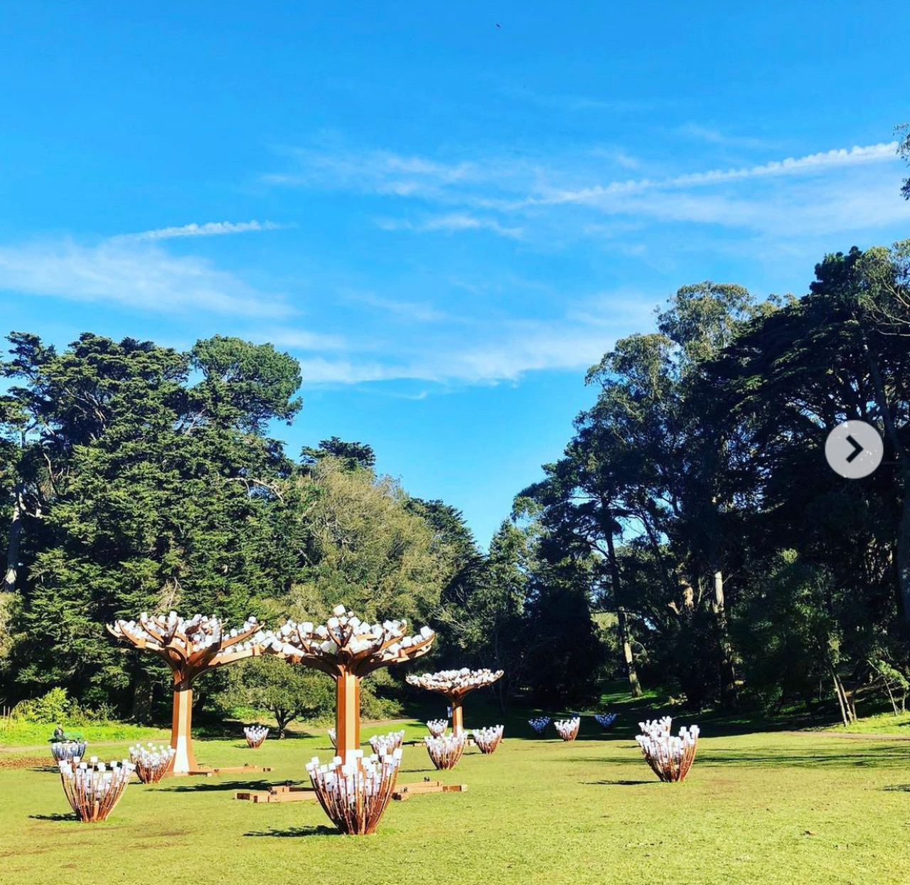 Light Forest, Redefining Park Nightscapes