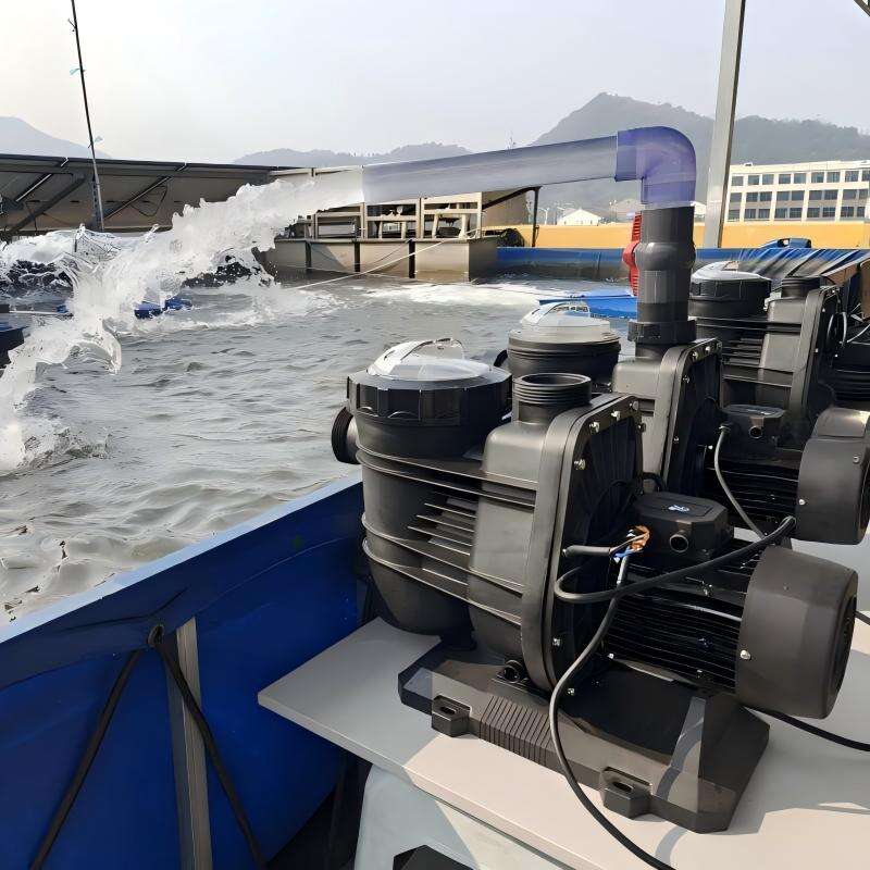 4Solar Pool Pump.jpg