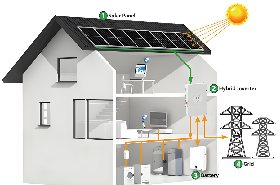 Commitment to Sustainability