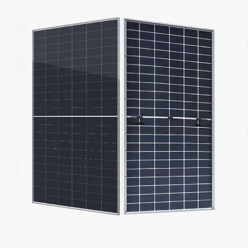 210 Mono-Bifacial GPM12TG(132).jpg