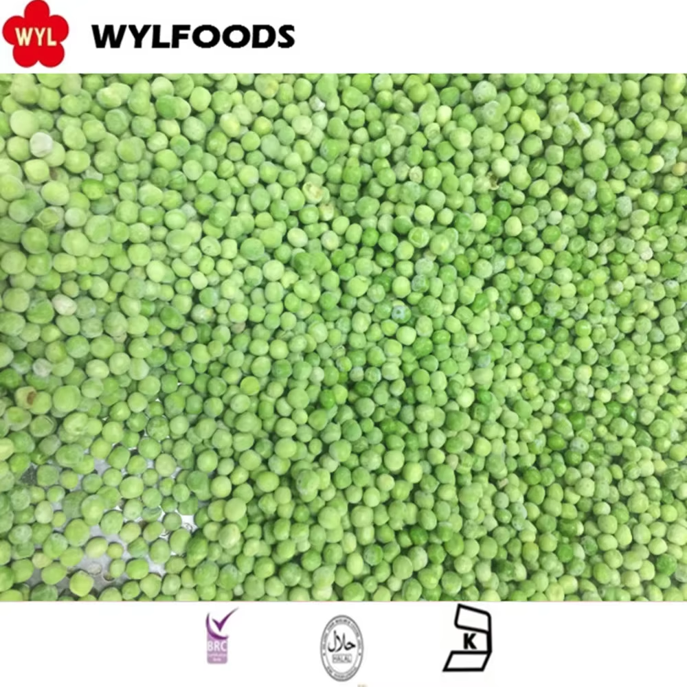 Премиум замразени сладки грахови зърна от WYLFOODS – стабилно доставяне, персонализирано опаковане и експертиза в експорта