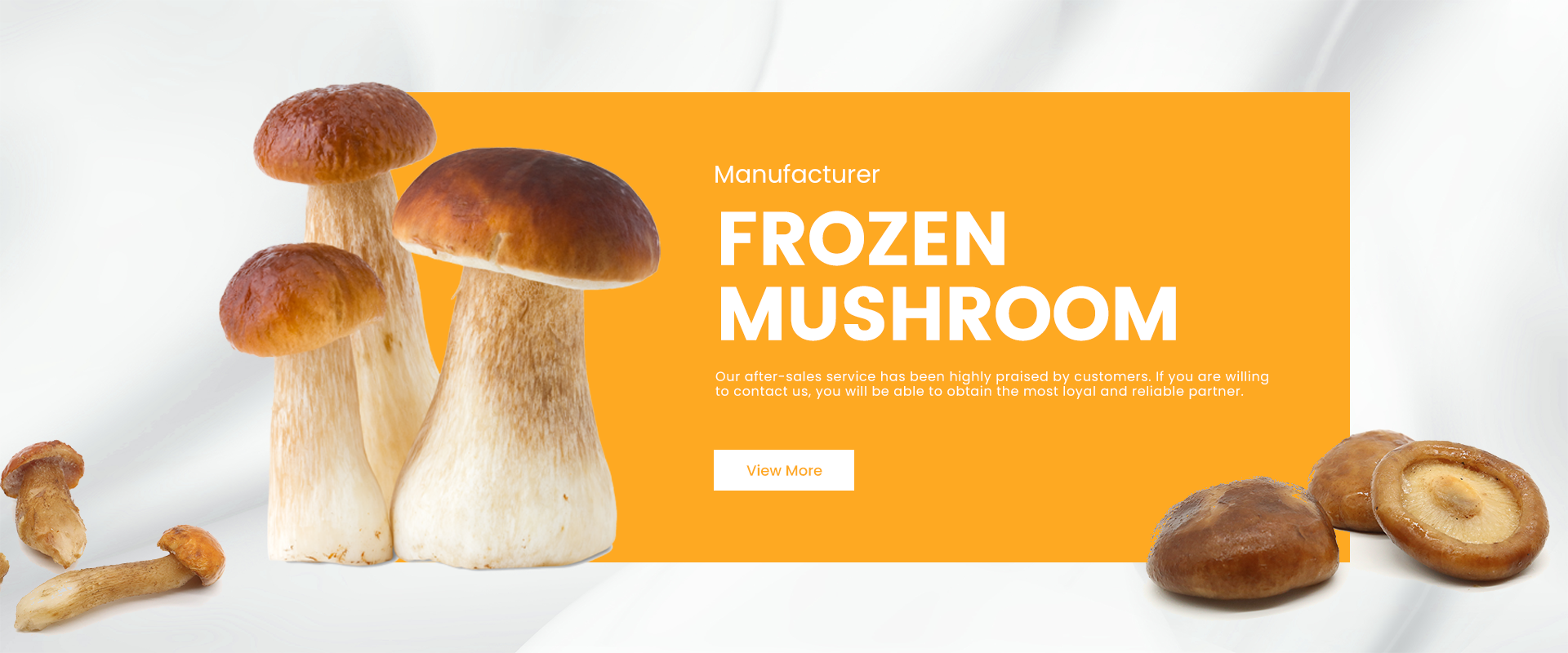 WYL Foods – Professional Frozen Food Manufacturer & Supplier