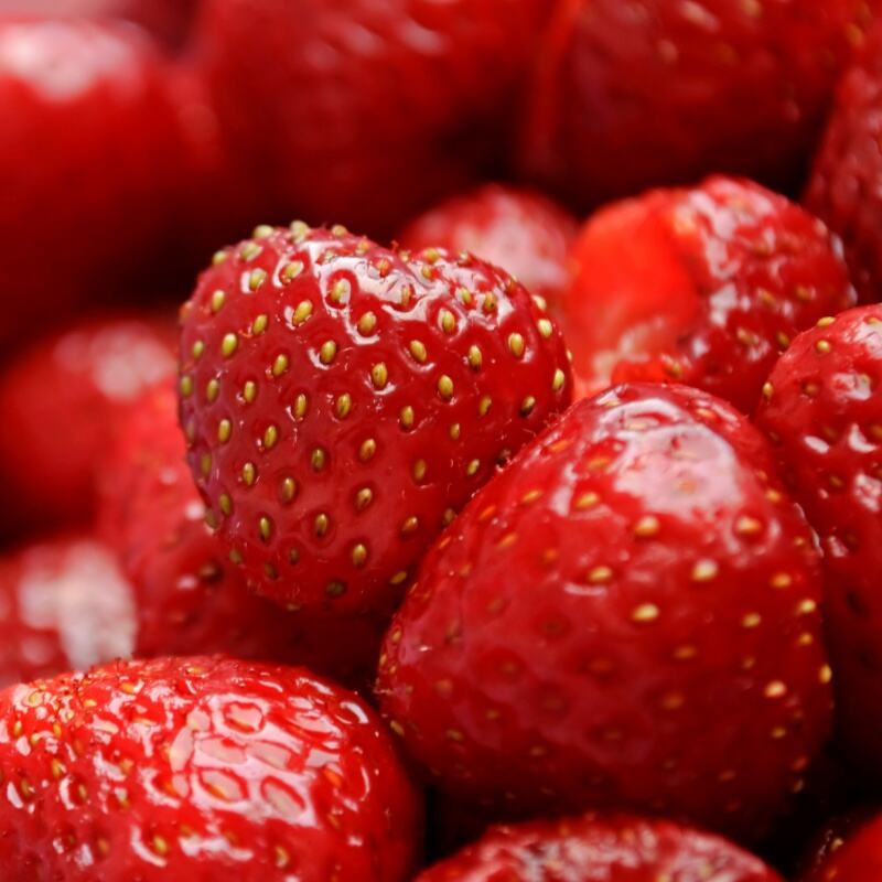 Bulk Orders Made Easy, WYLFOODS Meets Global Demand with Hot-Selling Frozen Blueberries, Strawberries & More