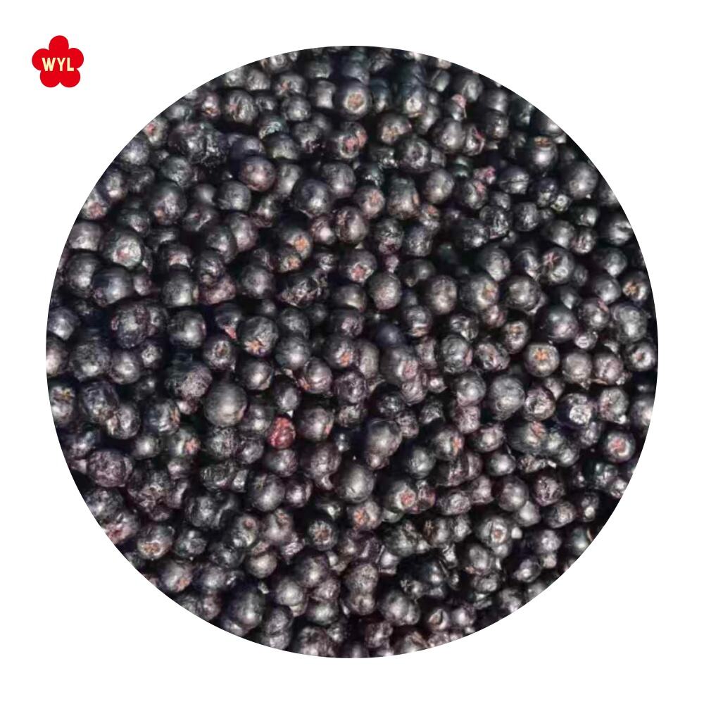 プレミアム冷凍アロニア — WYLFOODS 製品ラインに新登場