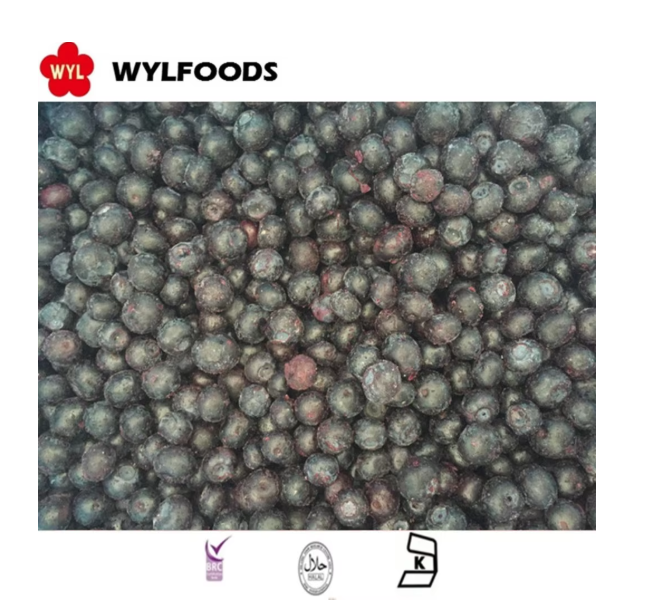 image(f1696f4cf7).png