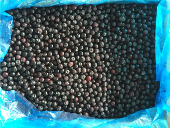 Frozen Blueberries in High Demand as Market Sees Steady Price Increase-2
