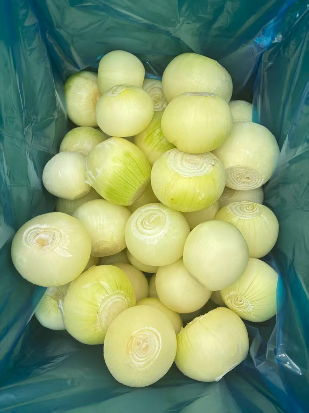 Best-Selling Products: Frozen Fries, Broccoli, and Garlic – Order Now