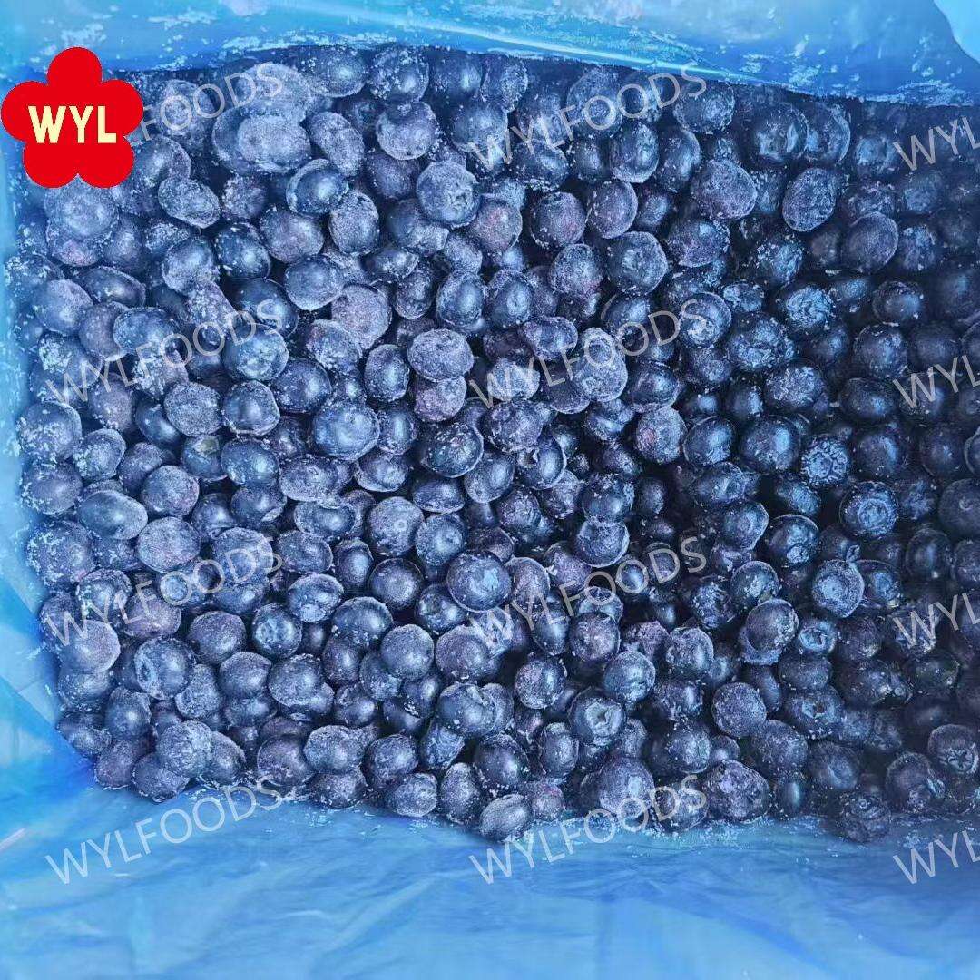 Frosne Blåbær – Premium Kvalitet, Ideelle til Matforarbeiding og Distribusjon