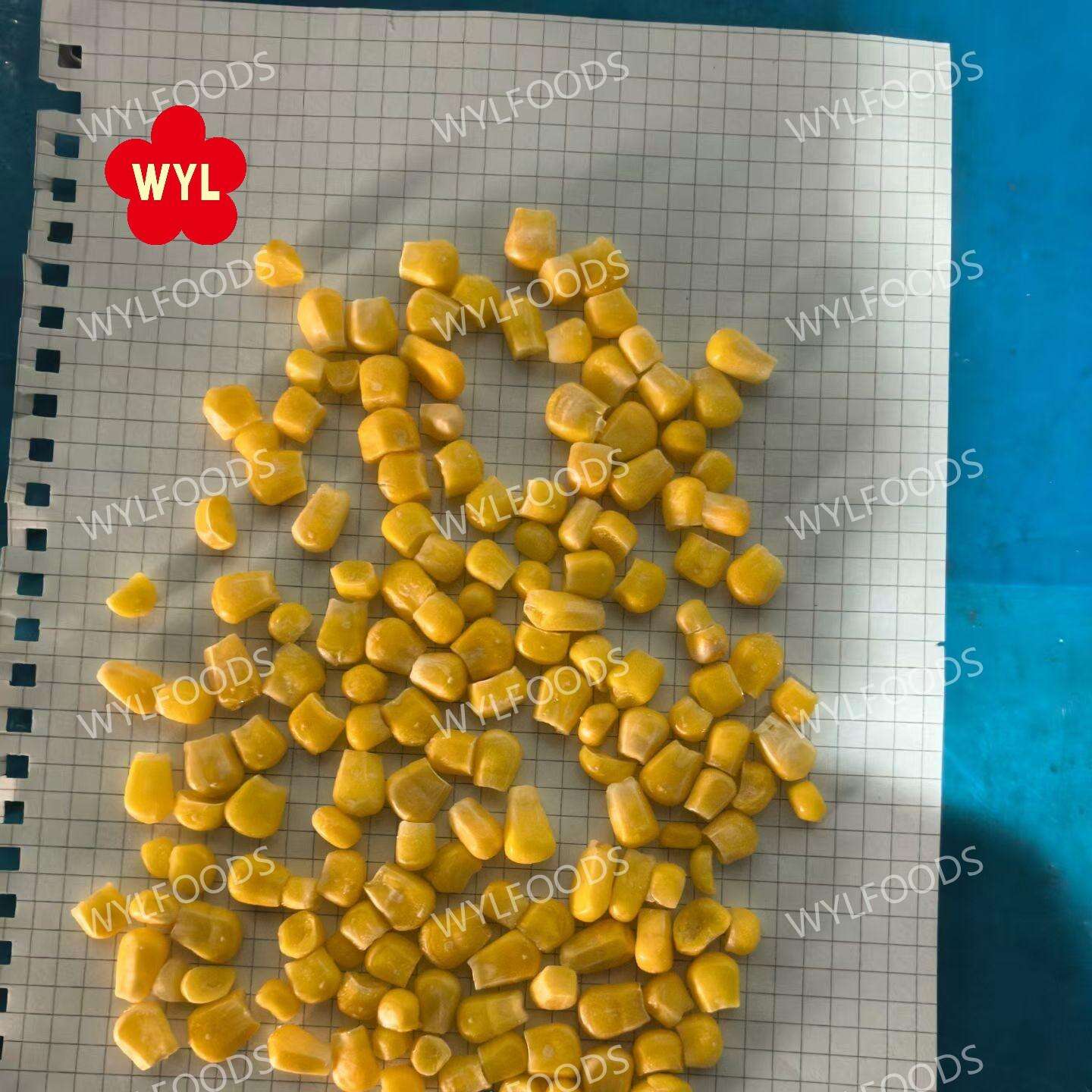 高品質な冷凍トウモロコシ粒、新鮮さを保持し、さまざまな食品加工用途に最適