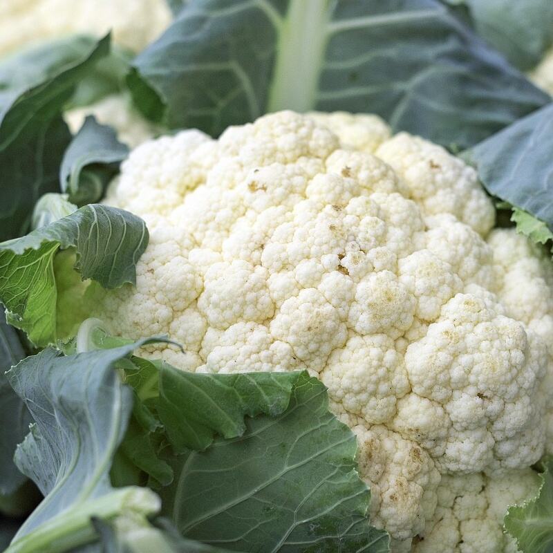 WYLFOODS Factory Direct Supply: New-Season Frozen Cauliflower, Frozen Edamame, and Frozen Carrots Now Ready for Bulk Ord