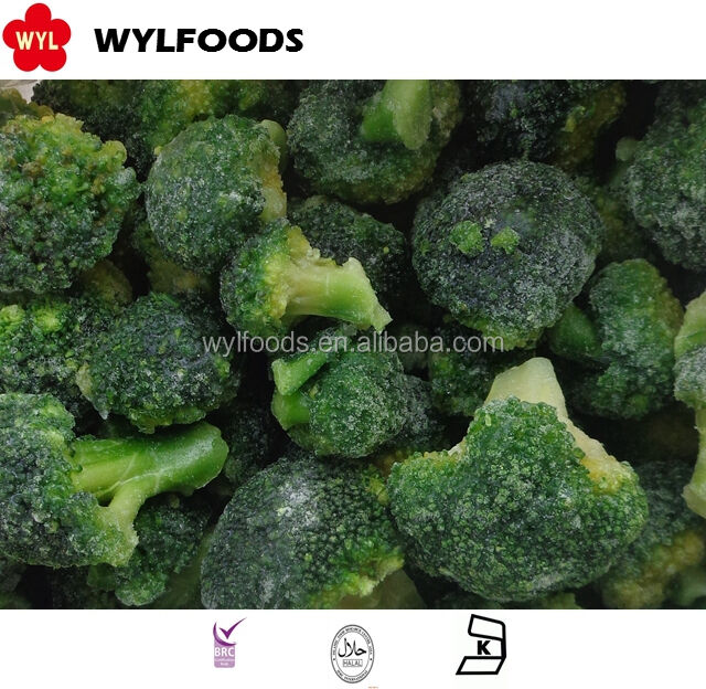 Premium IQF Frozen Broccoli Supplier – Factory Direct & OEM/ODM Service | WYLFOODS Company