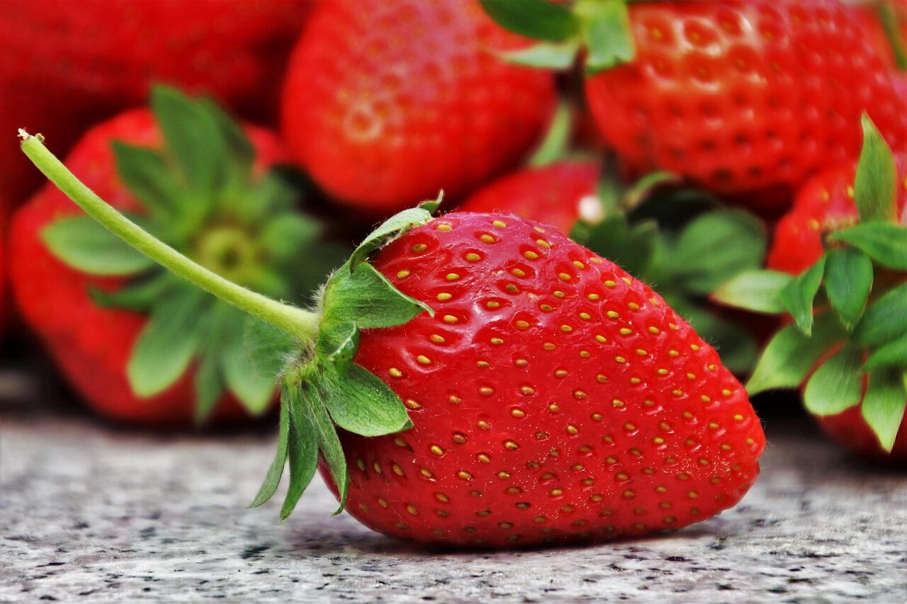 WYLFoods: soluzioni OEM e ODM per fragole congelate conformi agli standard di importazione