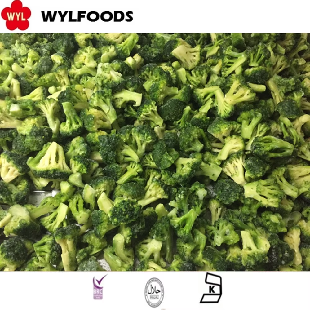 What cold chain practices ensure premium texture in frozen broccoli shipments?