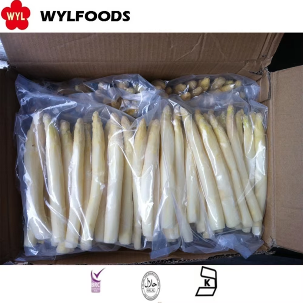 Zakaj je zamrznjeni beli špargl idealna izbira za podjetja gastronomskih storitev?