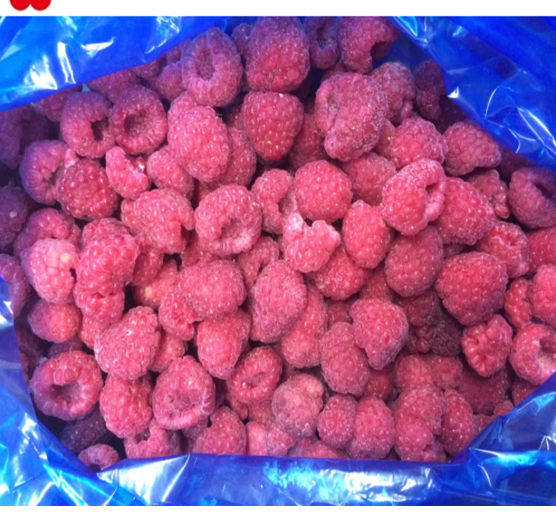 Evaluate Freezing and Storage Methods