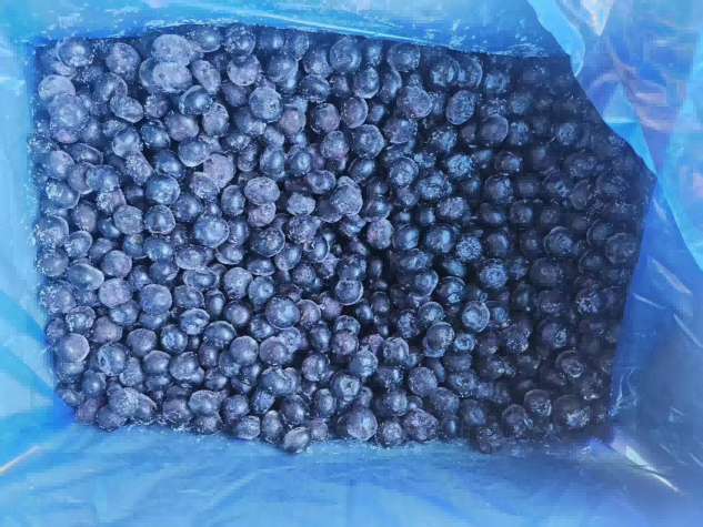 Frozen Blueberries in High Demand as Market Sees Steady Price Increase-1