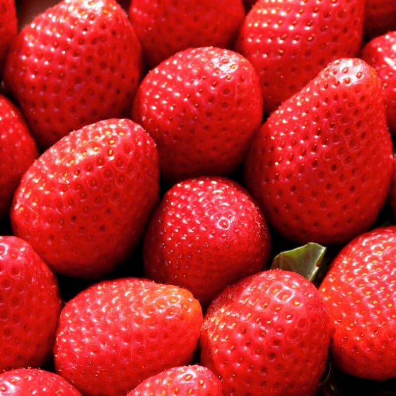Strawberi Beku dengan Blackberries & Black Currants: Panas dalam Jualan