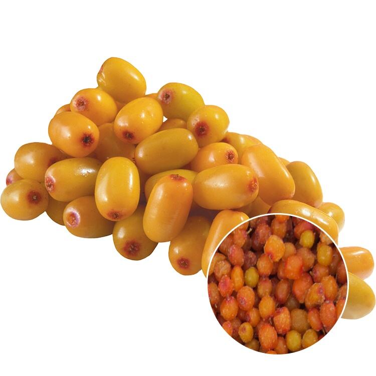 Premium IQF Frozen Sea Buckthorn – From WYLFOODS