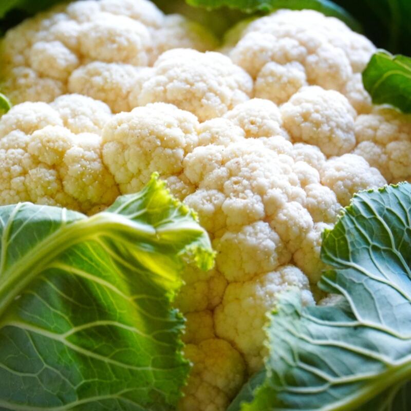 New Harvest Frozen Vegetables Arrive! Premium Frozen Cauliflower, Frozen Edamame Now Available from WYLFOODS
