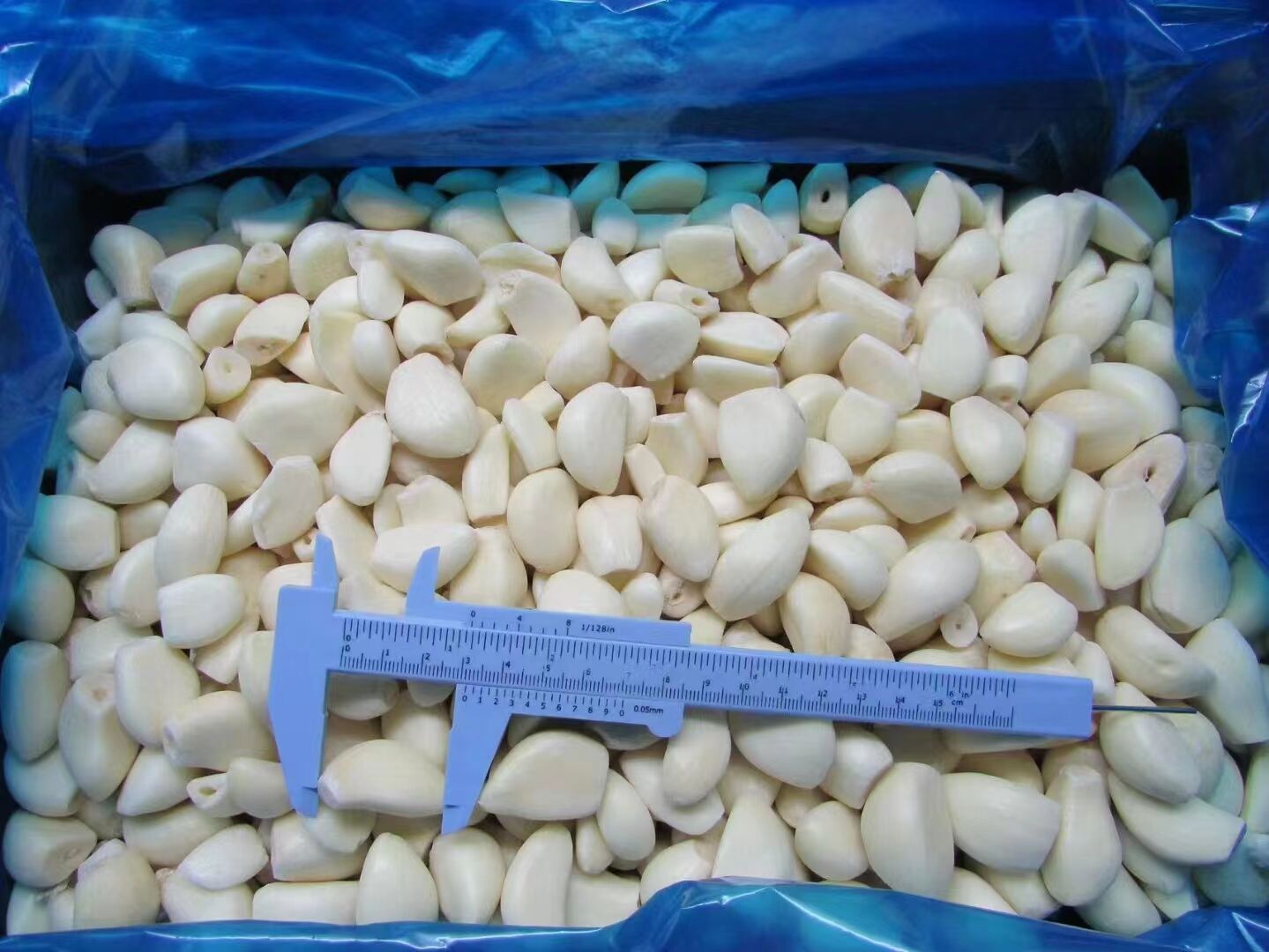 Frozen Fries, Broccoli, and Garlic in Hot Demand – Great Prices and Guaranteed Quality
