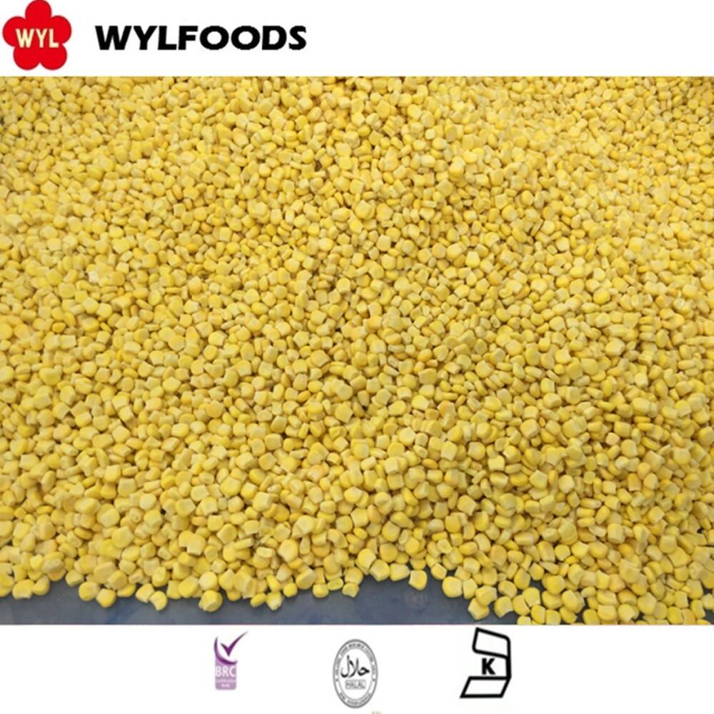 WYLFOODS IQF Frozen Sweet Corn — Naturally Sweet, Perfectly Fresh