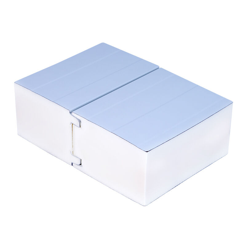  Premium Refrigerated Room Panels for Optimal Insulation