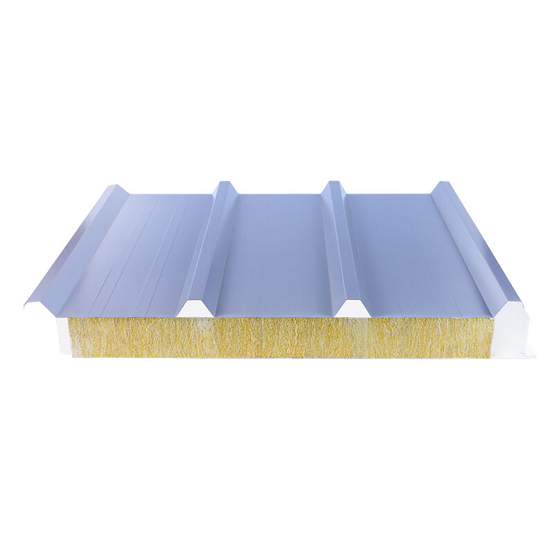 High-Quality 10 Cm Sandwich Panels for Diverse Applications