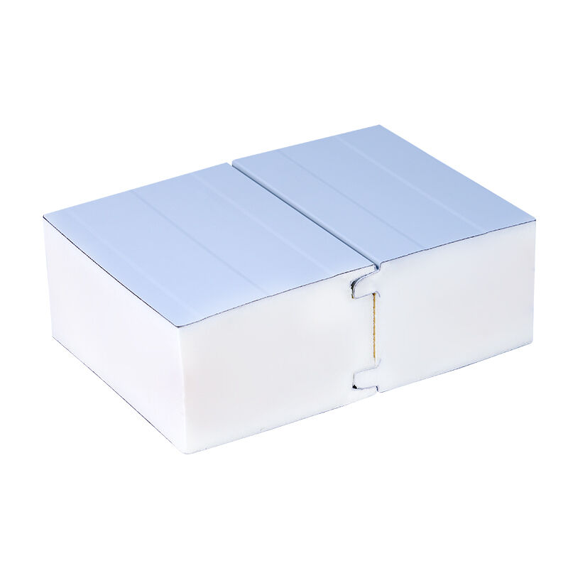 Polyurethane Cold Room Panel