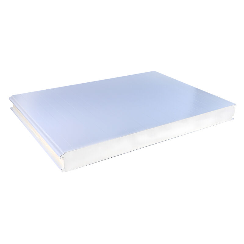 Premium Freezer Room Panels for Optimal Cold Storage Solutions