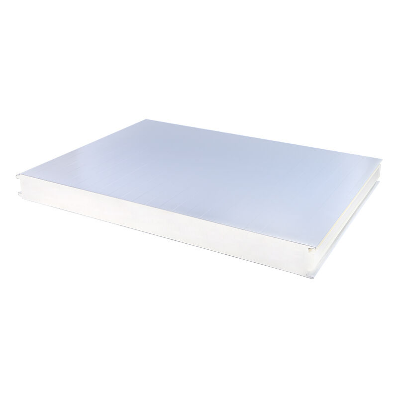  Premium Cold Room Wall Panels for Optimal Insulation