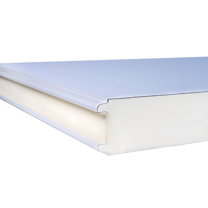 Painéis Premium para Câmaras Frigoríficas de 75 mm para Isolamento Ótimo