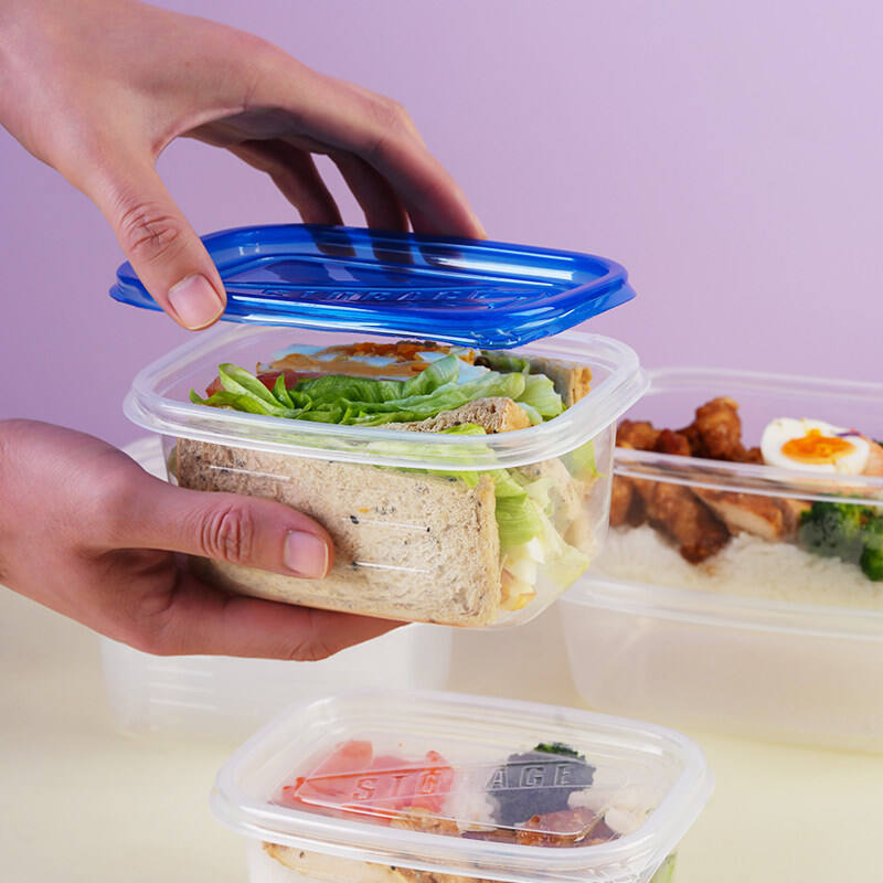 Where to Source Affordable Wholesale Bento Box Containers for Your Business