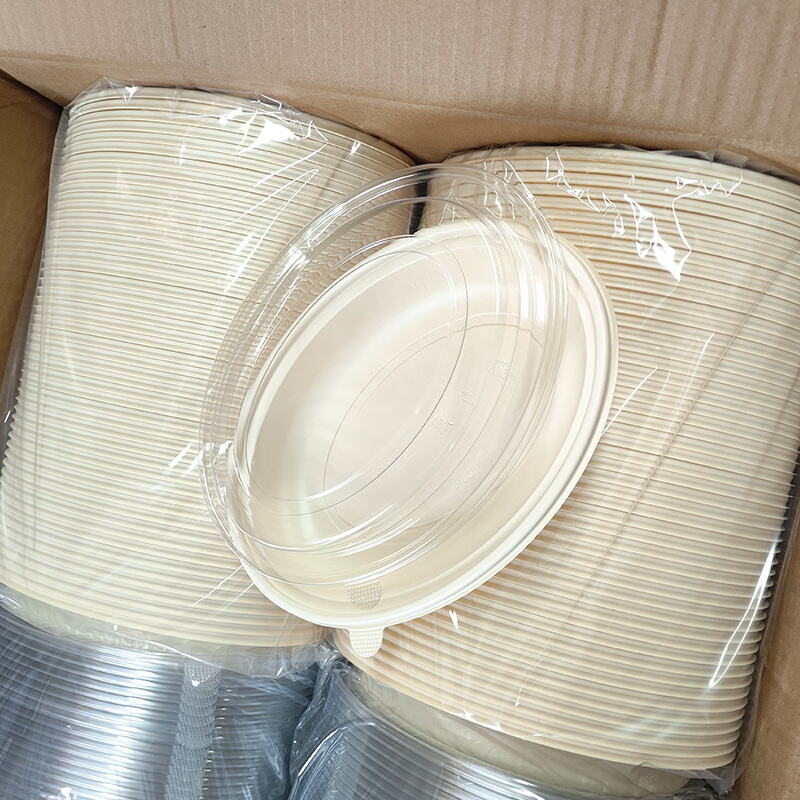 How to Choose the Right Biodegradable Takeaway Packaging for Your Needs