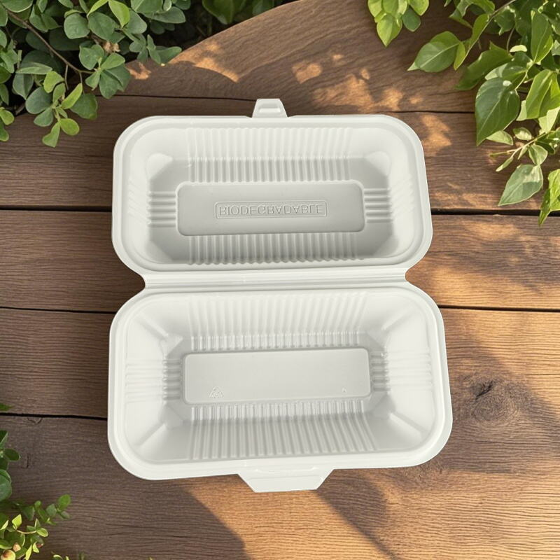 How to Avoid Common Usage Issues with Disposable Food Containers with Lids?