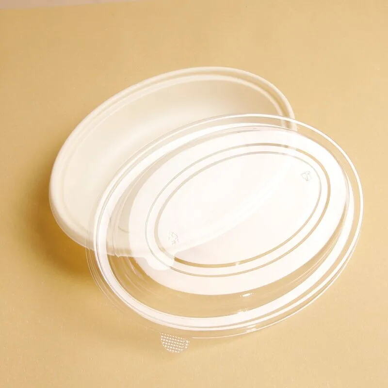 What Makes Biodegradable Takeaway Packaging a Smart Choice for Wholesale Buyers?