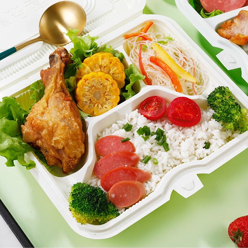 What Are the Benefits of Using Biodegradable Disposable Containers?