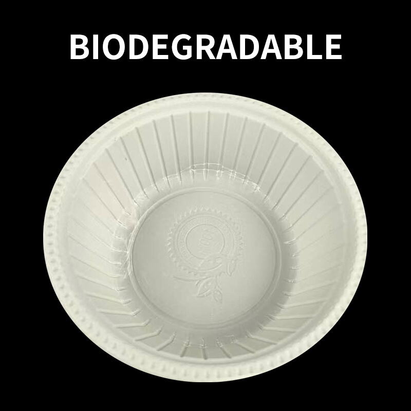 What Are the Common Usage Issues with Round Disposable Plastic Food Containers?