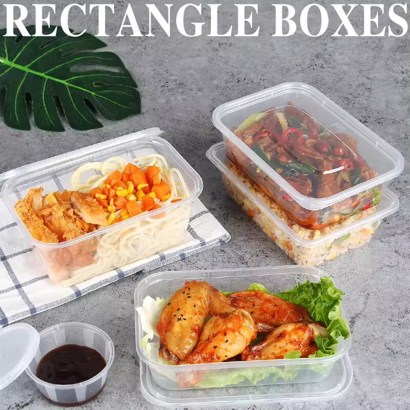 What Makes Eco-Friendly Disposable Containers a Trending Choice for Hot Foods?
