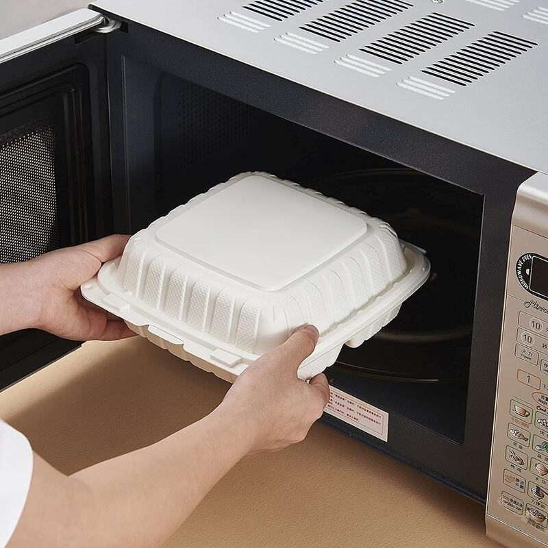 What Makes Plastic Disposable Containers the Ideal Choice for Takeout Restaurants?