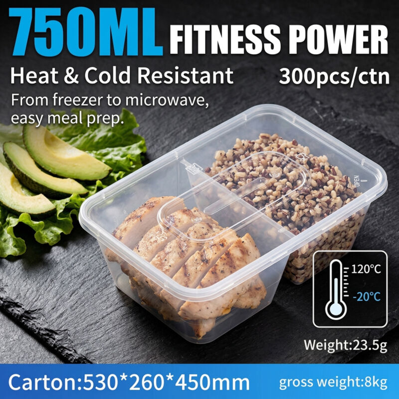 Food Grade Disposable Plastic Lunch Box Double Compartment Hinged Lid Microwave Safe Food Storage Container