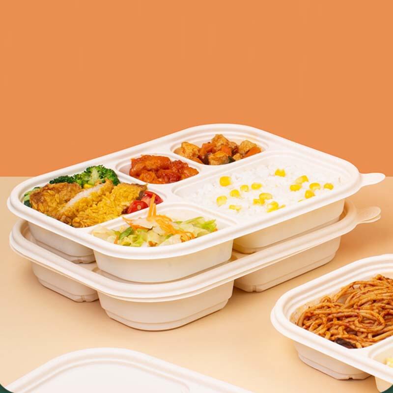 What Are the Key Features of High-Quality Biodegradable Takeaway Boxes?