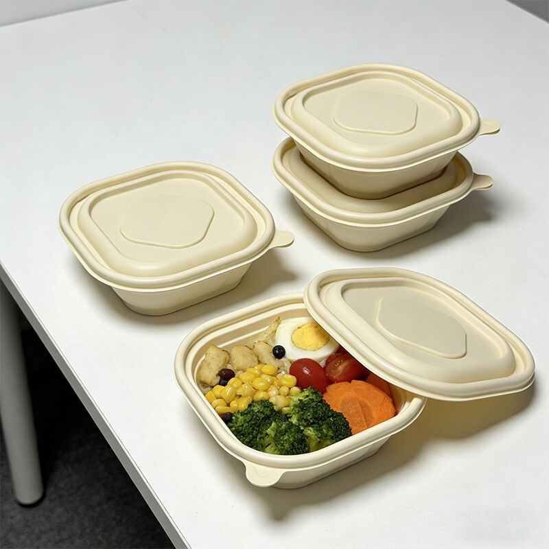 Square Cornstarch Biodegradable Disposable Takeout Lunch Box with Lid – Heavy-Duty