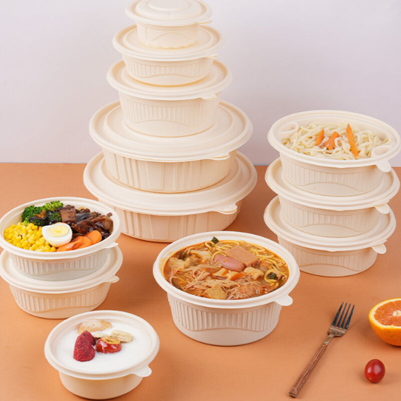 Where to Buy Wholesale Biodegradable Food Containers for Large Orders