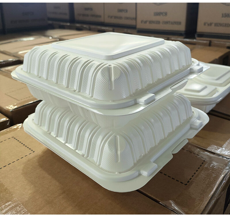 Where to Find Affordable Wholesale Food Disposable Boxes