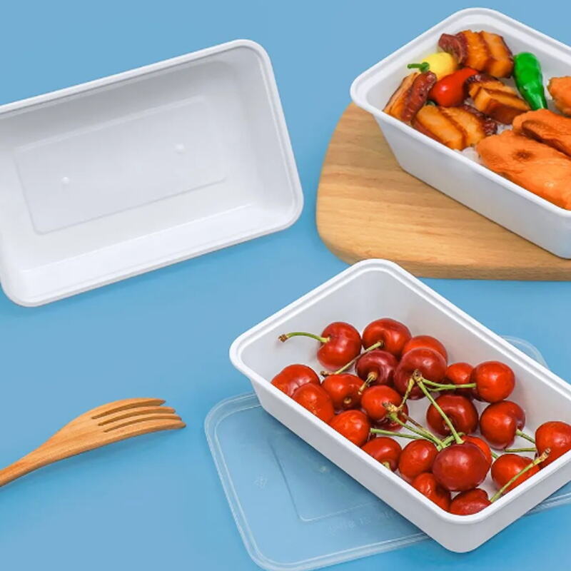 What Common Mistakes to Avoid When Packing Bento Box Meals?