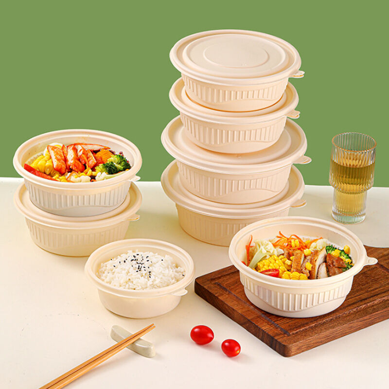 Common Usage Issues with Biodegradable Carry Out Containers and How to Avoid Them