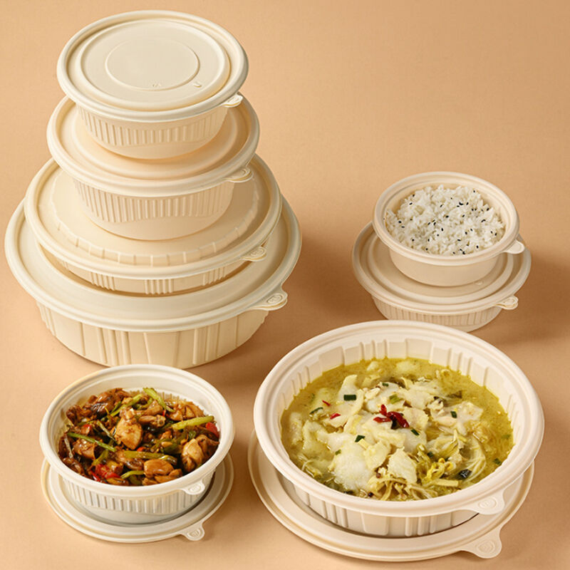 Where to Source Quality Wholesale Eco-Friendly Disposable Food Containers Online
